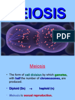 Meiosis