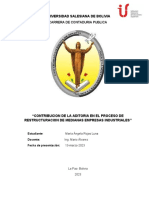 Contribucion de La Aditoria en El Proceso de Restructuracion de Medianas Empresas Industriales