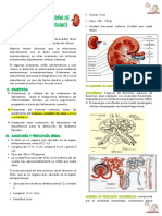 Clase 1 - Laboratorio de Enfermedades Renales