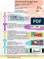 Infografía Material de Laboratorio Orgánico Ilustrado
