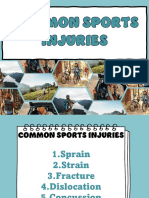 Common Sports Injuries