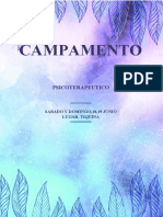 Campament 1,1