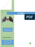 Trabajo de Infecciosas RABIA