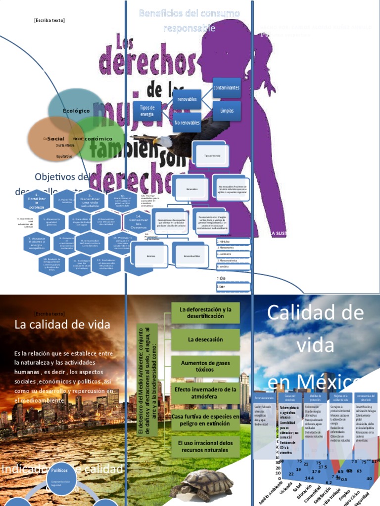 Sustentabilidad y Calidad de Vida | PDF | Energía renovable ...