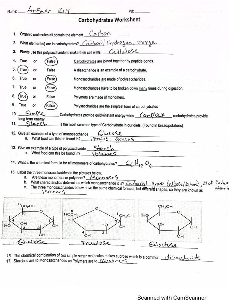 Carbs Worksheet Answers PDF