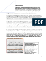 RESUMEN Teórica Ciclos Biogeoquímicos