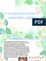 Comisurotomia y Asimetria Cerebral