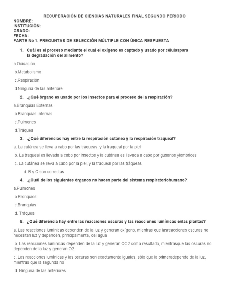 Examen 7B | PDF