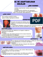 Infografia Artrofia