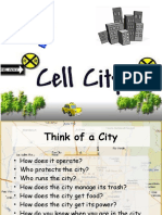 Cell City 2011