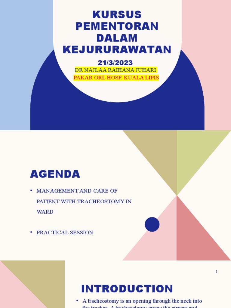 kursus-pementoran-dalam-kejururawatan-pdf-respiratory-system-medicine
