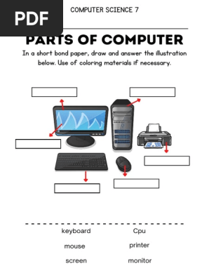 Computer Hardware Worksheets Pdf