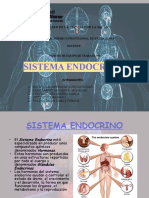 Sistema Endocrino