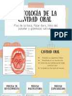 Histologia. Grupo 2