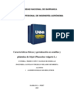 Características Físicas y Germinación en Semillas de Frijol