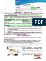 MÓDULO 24 - III°BIM - CyT 1ro