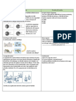 Cuadro Comparativo Del Desafio #3