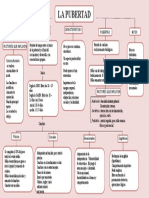 Mapa Conceptual de La Pubertad