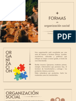 Formas de Organización Social DJCC