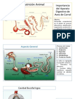 El Aparato Digestivo de Aves de Corral