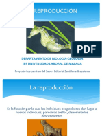 LA REPRODUCCIÓN DEPARTAMENTO DE BIOLOGÍA-GEOLOGÍA IES UNIVERSIDAD LABORAL DE MÁLAGA. Proyecto Los Caminos Del Saber. Editorial Santillana-Grazalema - PDF