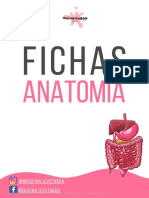 Fichas de Anatomia 2021