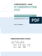 CSCO非小细胞肺癌诊疗指南2020