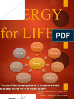Energy For Life