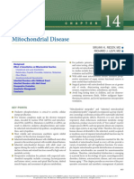 Mitochondrial Disease