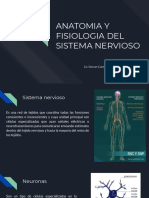 523369620 Anatomia y Fisiologia Del Sistema Nervioso