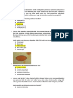 Soal Pretest Postest Parasitologi