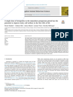 A Single Dose of Ketoprofen in the Immediate Postpartum Perio has the Potential to Improve Diary Calf Welfare in the First 48 h of Life