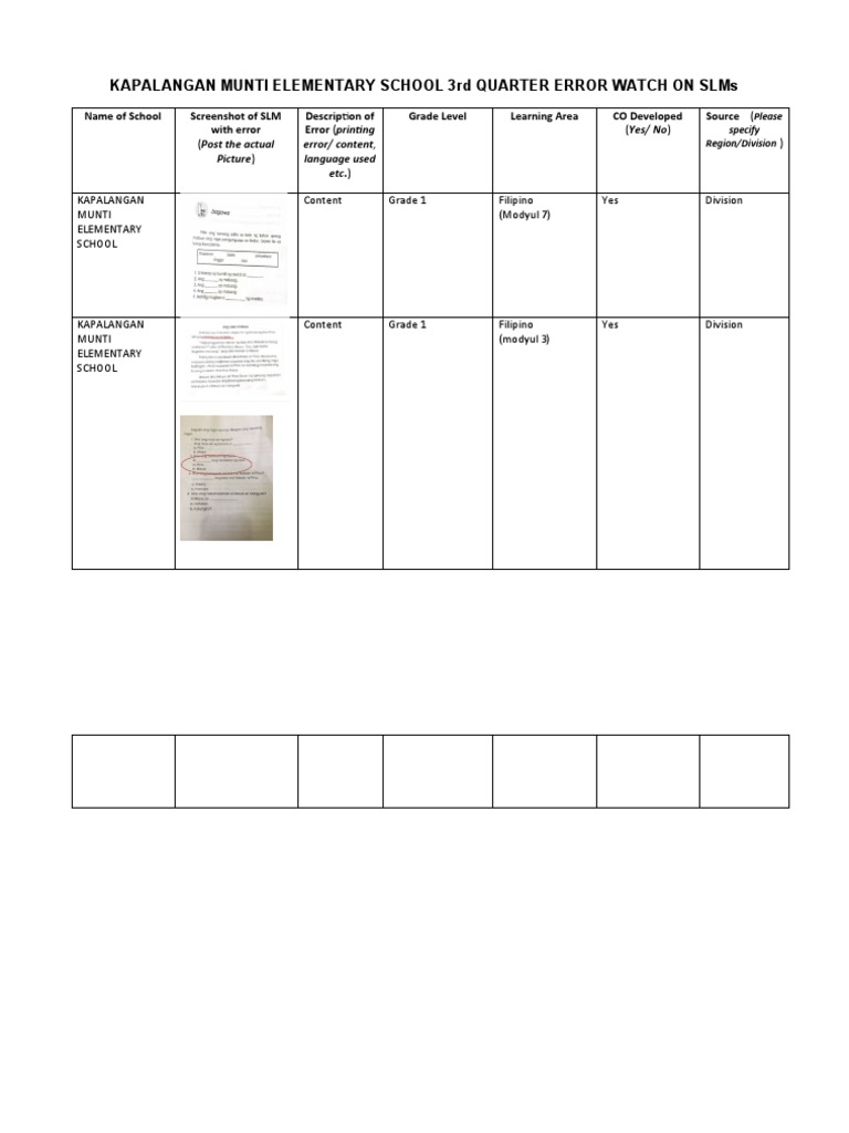 Grade 1 SLM Error Report | PDF