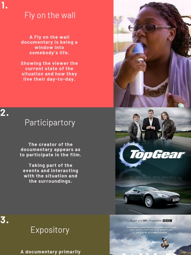 Types of Documentary Styles Explained | PDF