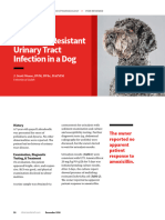WTTH - Multidrug Resistant Urinary Tract Infection in A Dog 33066 Article