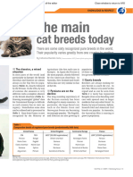 The Main Cat Breeds Today