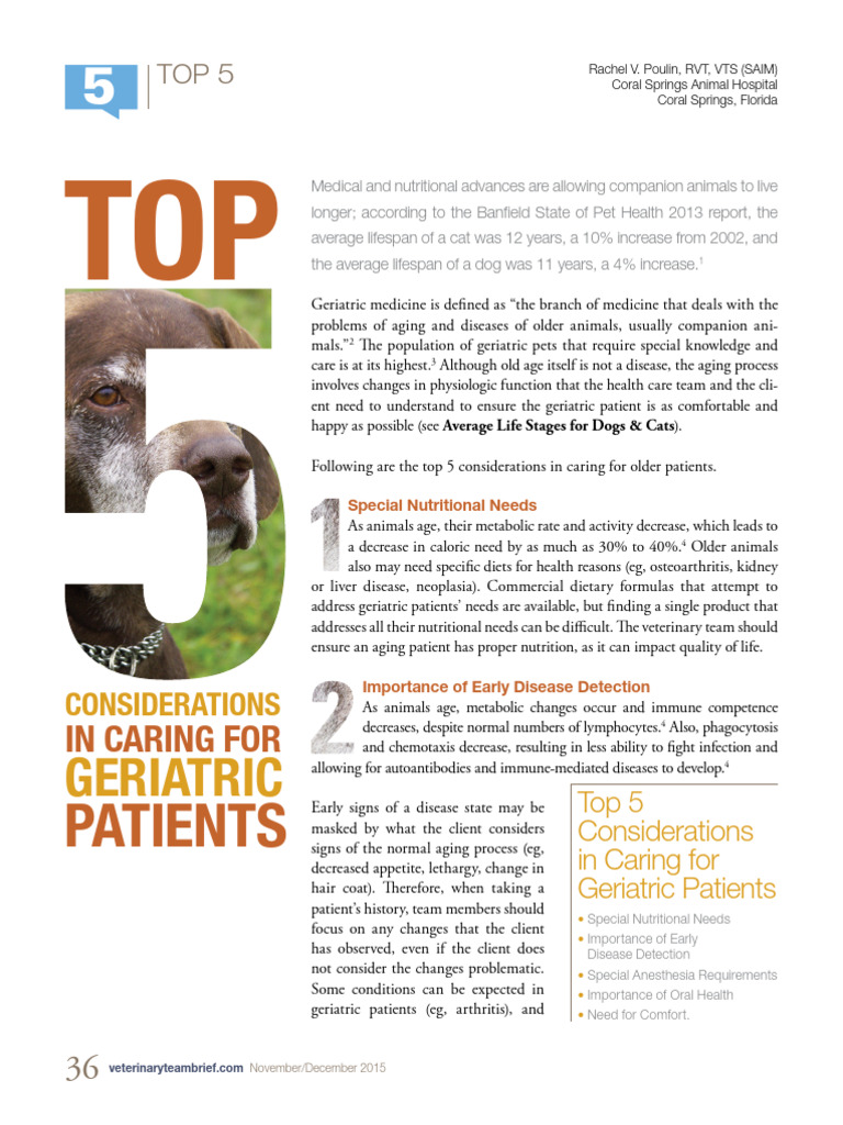 Top 5 Considerations in Caring For Geriatric Patients PDF