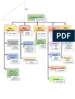 Organigrama Del Proyecto