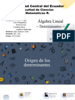 Determinantes (Origen) FH