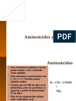 Usmp Aa y Proteinas