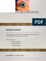 Diseases of The Conjuctiva II