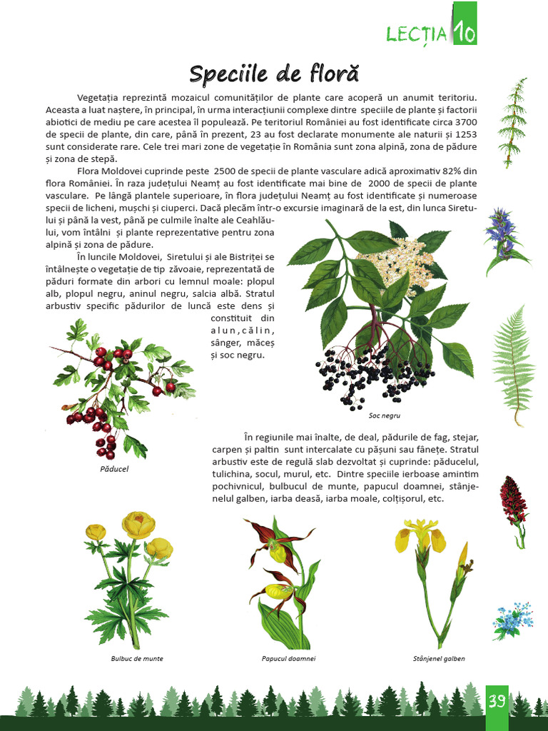 10.speciile de Flora | PDF