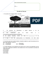 revisão de ciencias