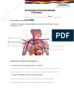 Formativa Nº 3 Ciencias 5º