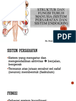 Sistem Persyarafan Dan Sistem Endokrin