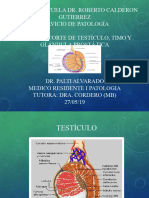 V. Patologia Quirurgica Testiculo Timo y Prostata