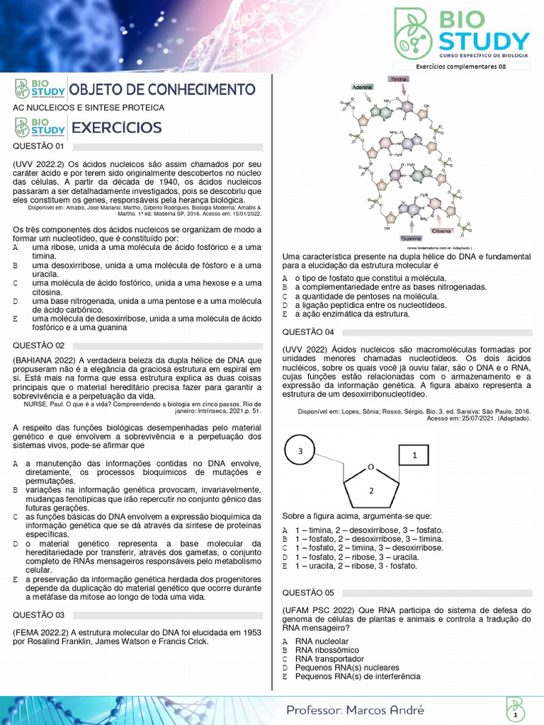 Exercícios sobre DNA e RNA | PDF | RNA | Gene