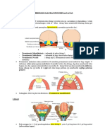 Embriologi Sistem Pencernaan Atas