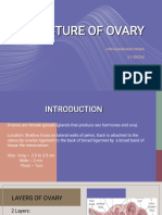 Structure of The Ovary