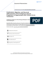 Proliferation Migration and Neuronal Differentiation of The Endogenous Neural Progenitors in Hippocampus After Fimbria Fornix Transection